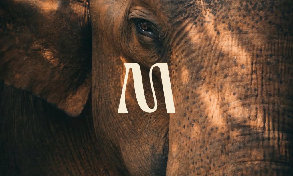 Matalay, Thailand - Brand & Co | Luxury Property Agency